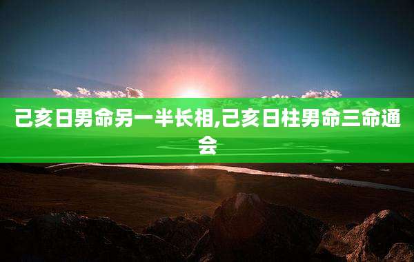 己亥日男命另一半长相,己亥日柱男命三命通会