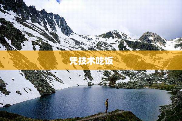 凭技术吃饭