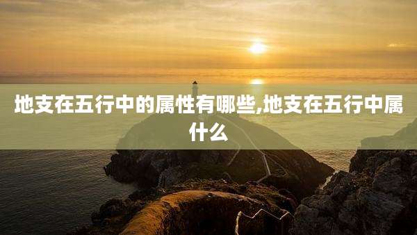 地支在五行中的属性有哪些,地支在五行中属什么