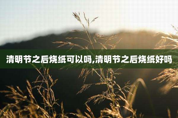 清明节之后烧纸可以吗,清明节之后烧纸好吗