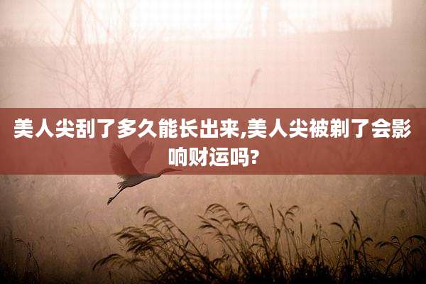 美人尖刮了多久能长出来,美人尖被剃了会影响财运吗?