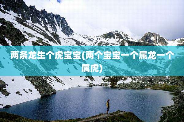 两条龙生个虎宝宝(两个宝宝一个属龙一个属虎)