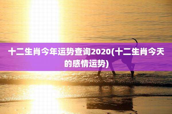 十二生肖今年运势查询2020(十二生肖今天的感情运势)