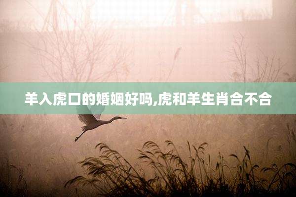 羊入虎口的婚姻好吗,虎和羊生肖合不合