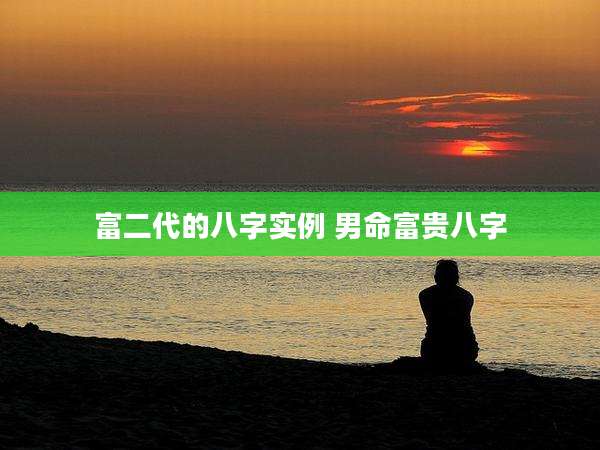 富二代的八字实例 男命富贵八字