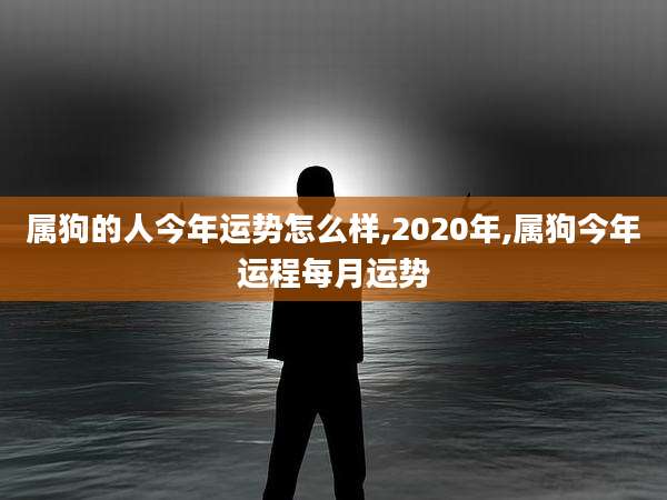 属狗的人今年运势怎么样,2020年,属狗今年运程每月运势