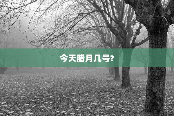 今天腊月几号?