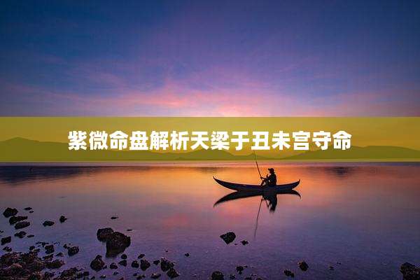 紫微命盘解析天梁于丑未宫守命