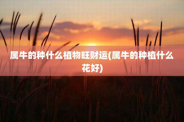 属牛的种什么植物旺财运(属牛的种植什么花好)