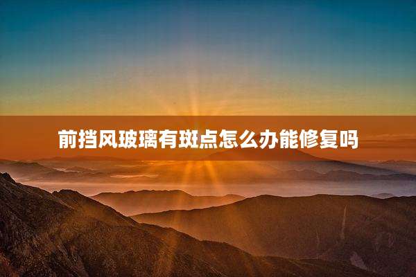 前挡风玻璃有斑点怎么办能修复吗