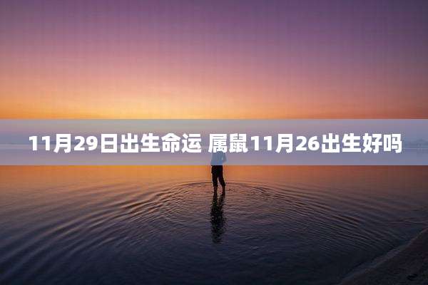 11月29日出生命运 属鼠11月26出生好吗