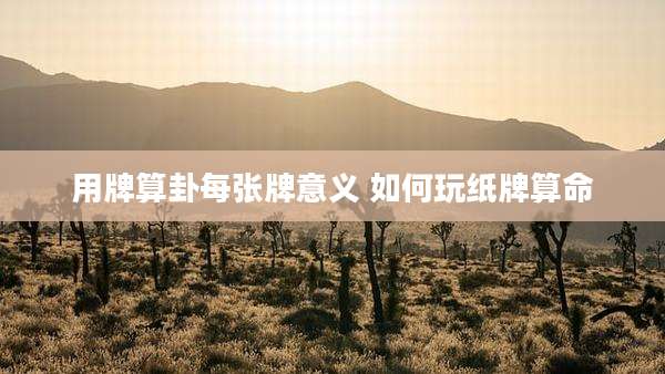 用牌算卦每张牌意义 如何玩纸牌算命