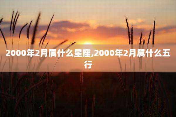 2000年2月属什么星座,2000年2月属什么五行