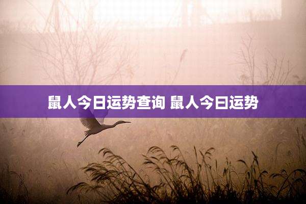 鼠人今日运势查询 鼠人今曰运势