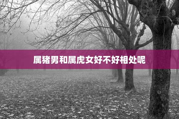 属猪男和属虎女好不好相处呢
