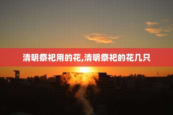 清明祭祀用的花,清明祭祀的花几只