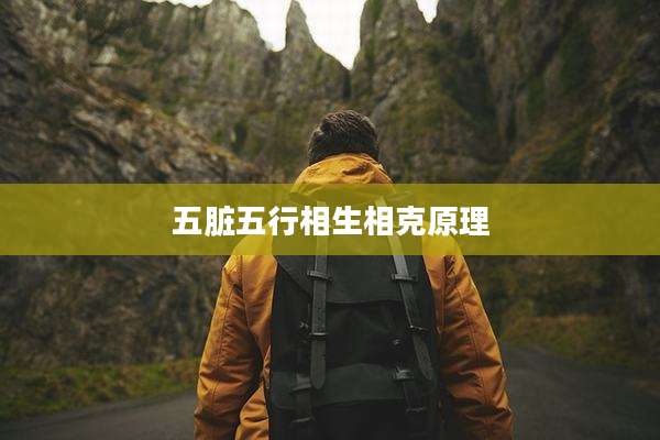 五脏五行相生相克原理