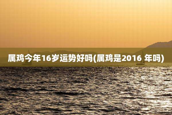 属鸡今年16岁运势好吗(属鸡是2016 年吗)
