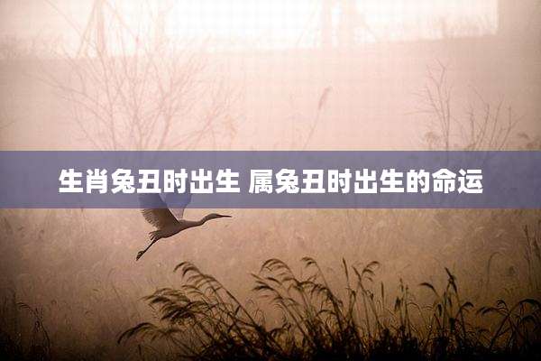 生肖兔丑时出生 属兔丑时出生的命运