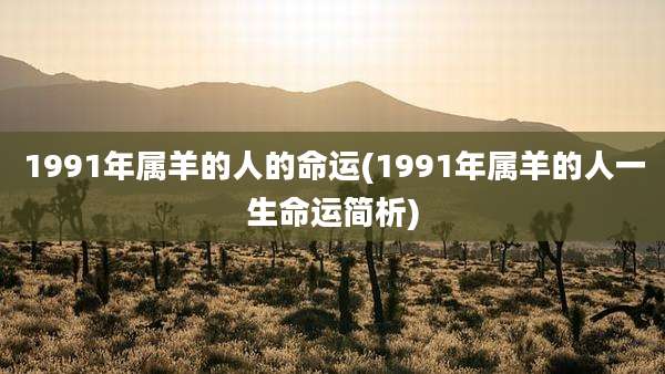 1991年属羊的人的命运(1991年属羊的人一生命运简析)