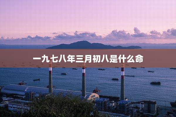 一九七八年三月初八是什么命