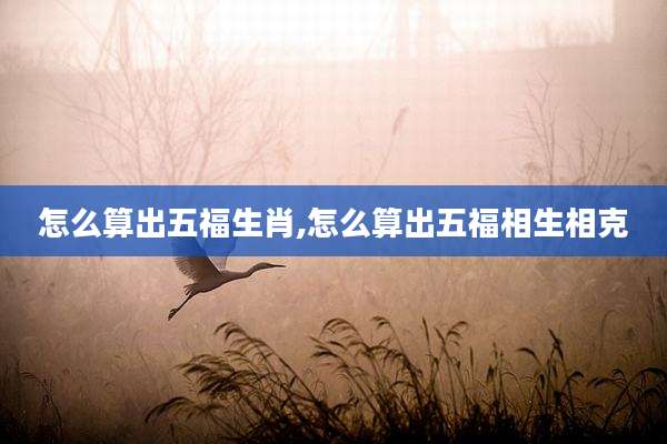 怎么算出五福生肖,怎么算出五福相生相克