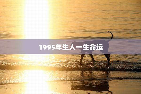 1995年生人一生命运