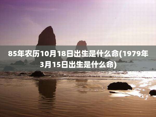 85年农历10月18日出生是什么命(1979年3月15日出生是什么命)