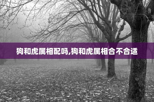 狗和虎属相配吗,狗和虎属相合不合适