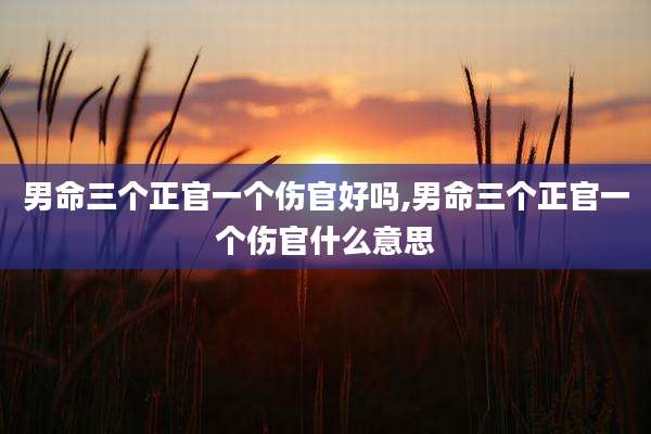 男命三个正官一个伤官好吗,男命三个正官一个伤官什么意思