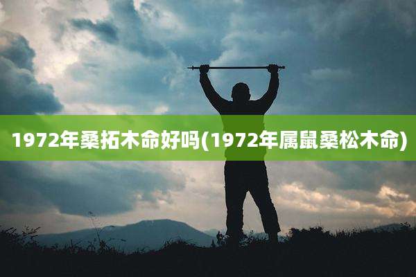1972年桑拓木命好吗(1972年属鼠桑松木命)