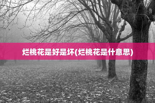 烂桃花是好是坏(烂桃花是什意思)