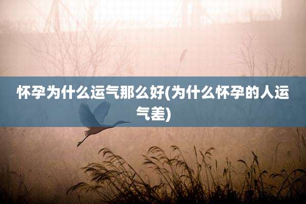 怀孕为什么运气那么好(为什么怀孕的人运气差)