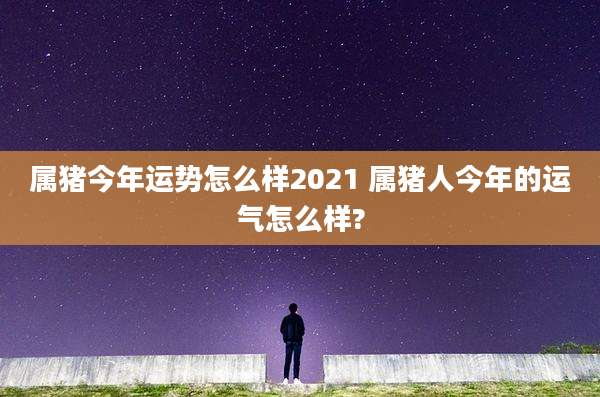 属猪今年运势怎么样2021 属猪人今年的运气怎么样?