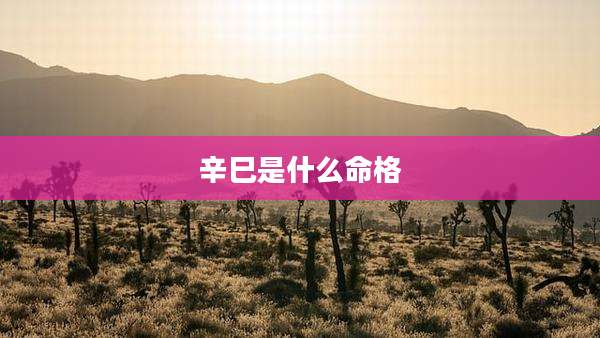 辛巳是什么命格