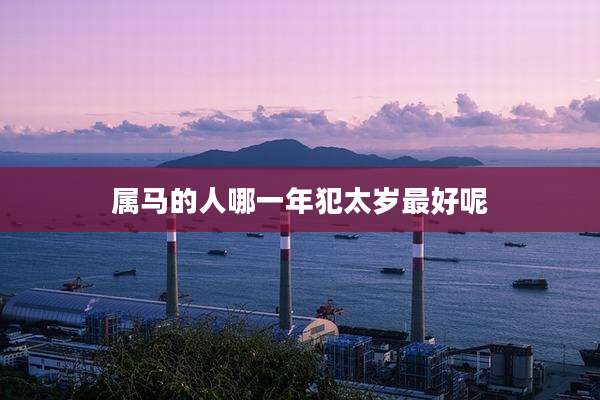 属马的人哪一年犯太岁最好呢