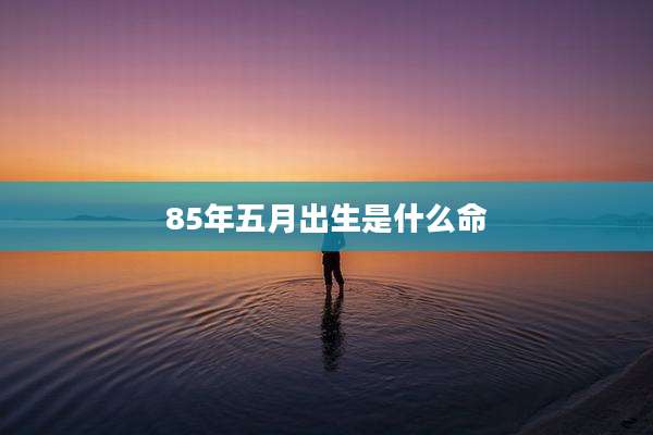 85年五月出生是什么命
