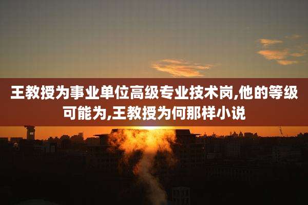 王教授为事业单位高级专业技术岗,他的等级可能为,王教授为何那样小说