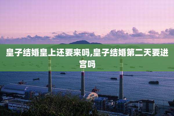 皇子结婚皇上还要来吗,皇子结婚第二天要进宫吗