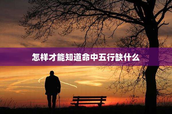 怎样才能知道命中五行缺什么