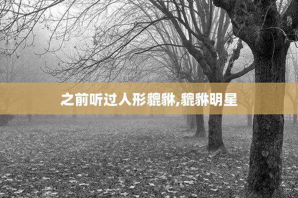 之前听过人形貔貅,貔貅明星