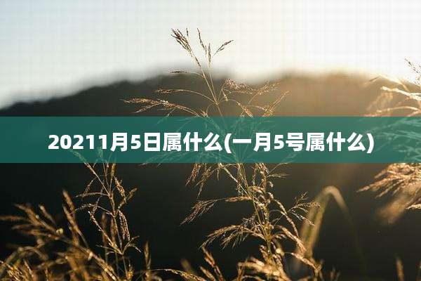 20211月5日属什么(一月5号属什么)