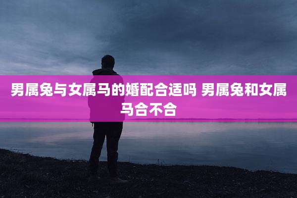 男属兔与女属马的婚配合适吗 男属兔和女属马合不合