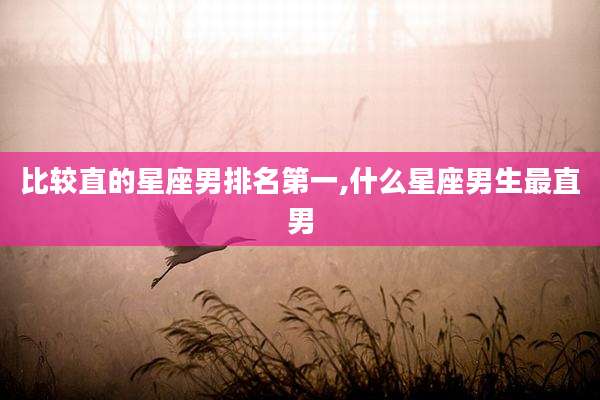 比较直的星座男排名第一,什么星座男生最直男