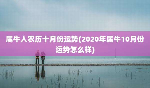 属牛人农历十月份运势(2020年属牛10月份运势怎么样)