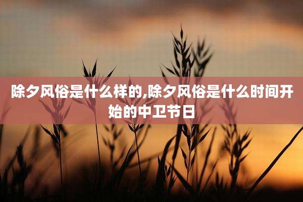 除夕风俗是什么样的,除夕风俗是什么时间开始的中卫节日