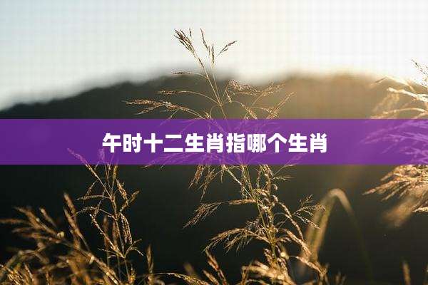 午时十二生肖指哪个生肖
