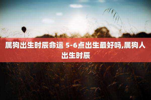 属狗出生时辰命运 5-6点出生最好吗,属狗人出生时辰