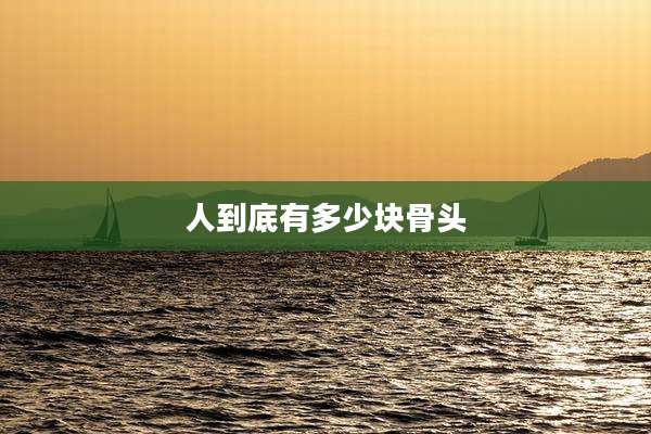 人到底有多少块骨头