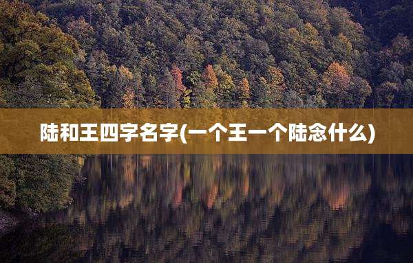 陆和王四字名字(一个王一个陆念什么)